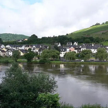 Mosel View Appartement Zell Buitenkant foto