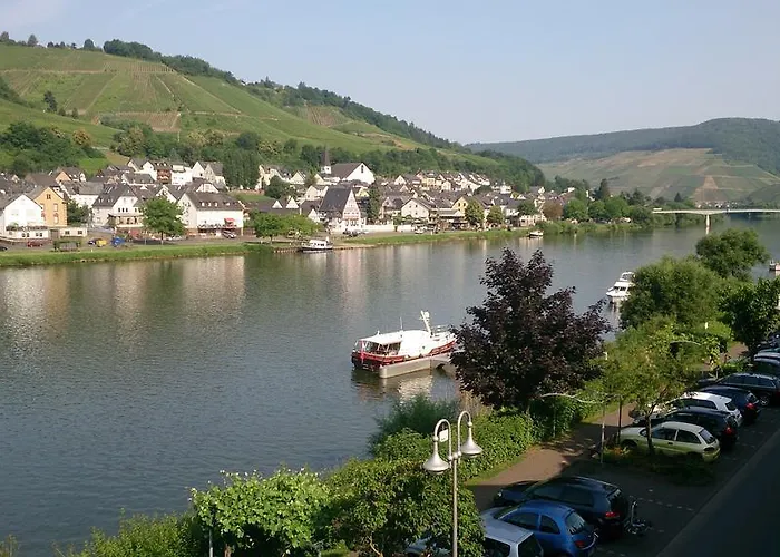 Mosel View