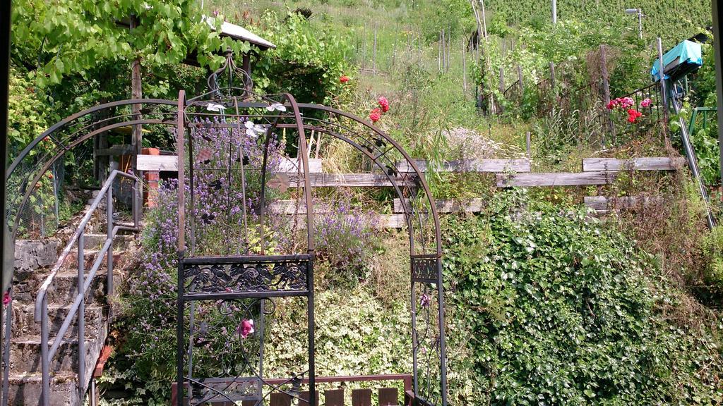 Apartment Mosel View *