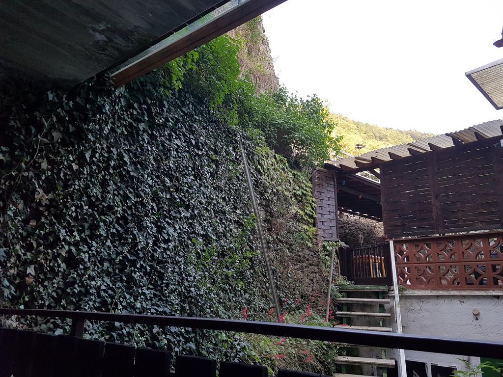 Mosel View Apartment *